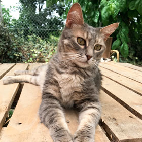 Generic placeholder image
